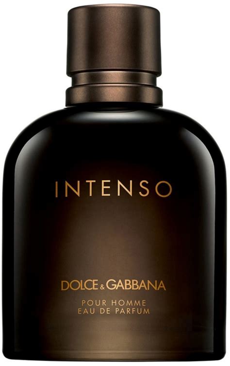 dolce gabbana parfum herren neu